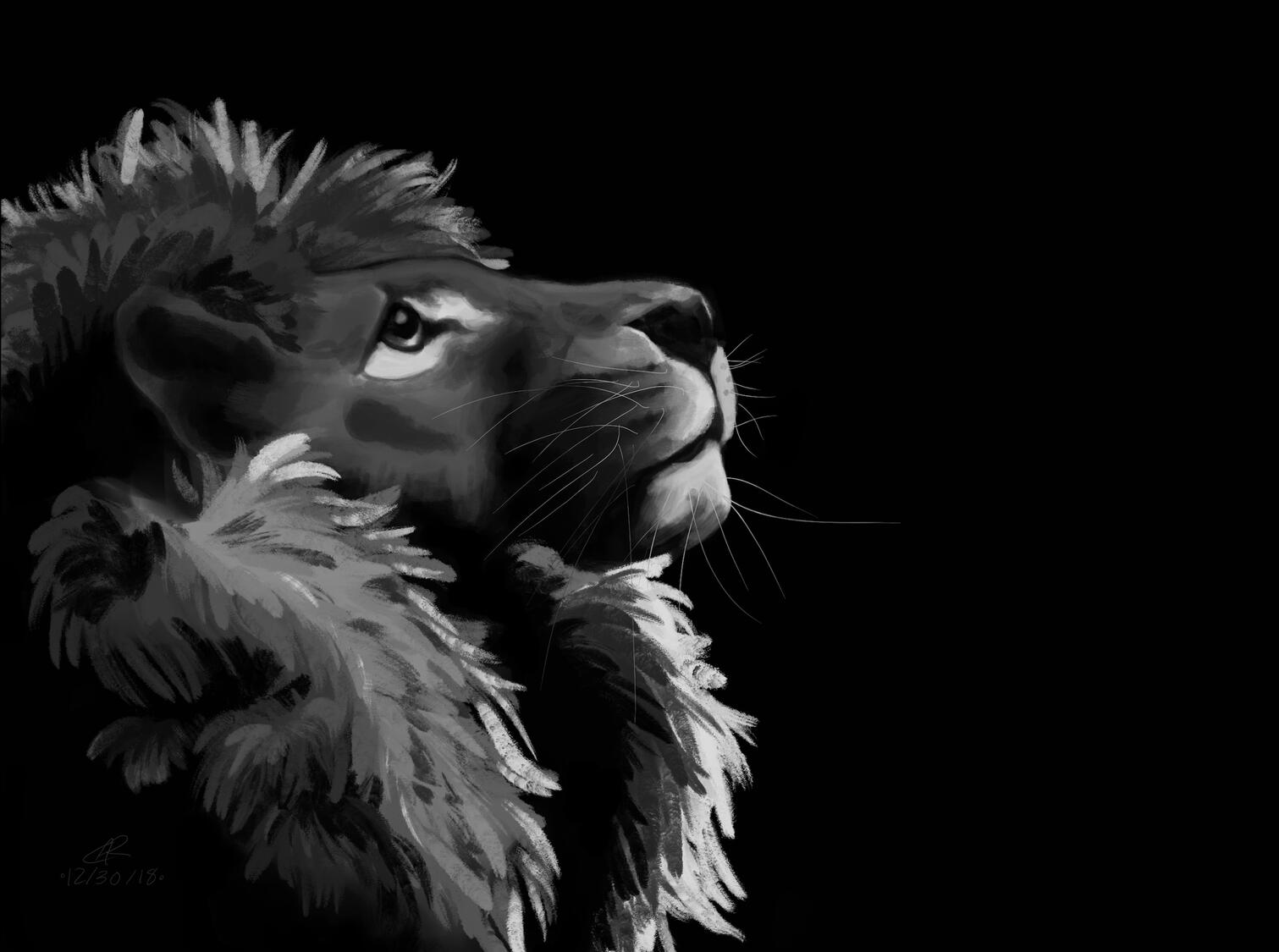 King, 16" x 24", Digital, 2019